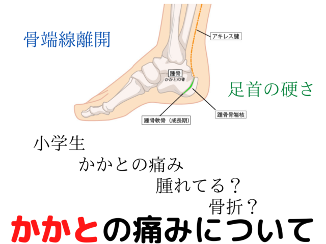 踵骨骨端症（シーバー病、セーバー病）-子どもの踵の痛み-