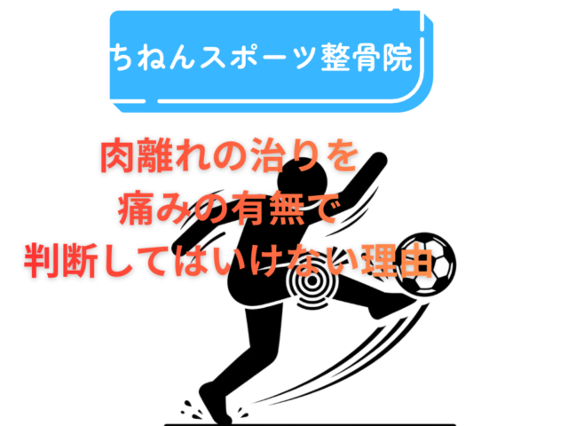 【肉離れの再発を防ぐには？】早く部活復帰したい学生へ｜福岡市東区のちねんスポーツ整骨院が解説